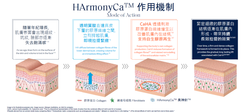 HArmonyCa作用機制