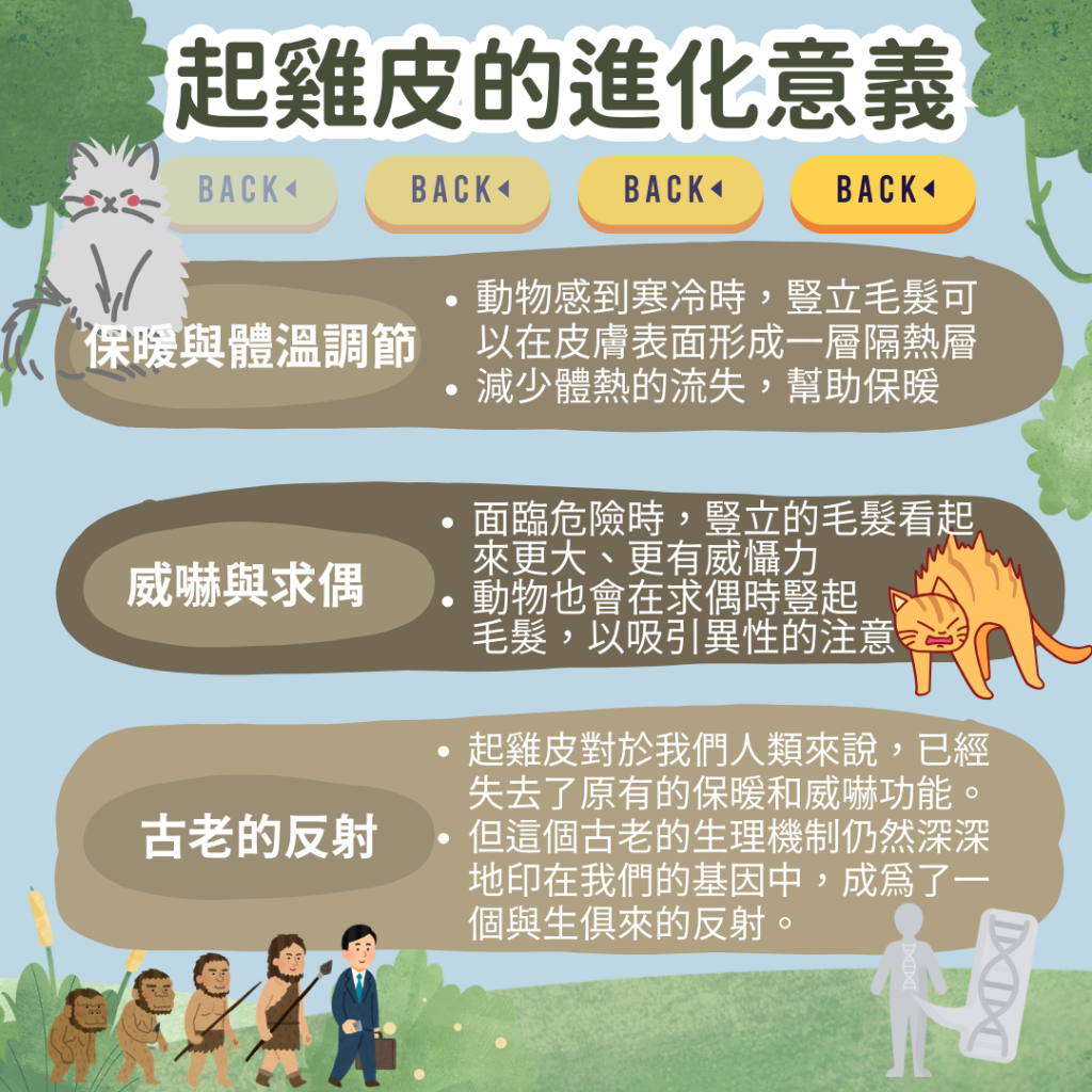 起雞皮源自人類進化史