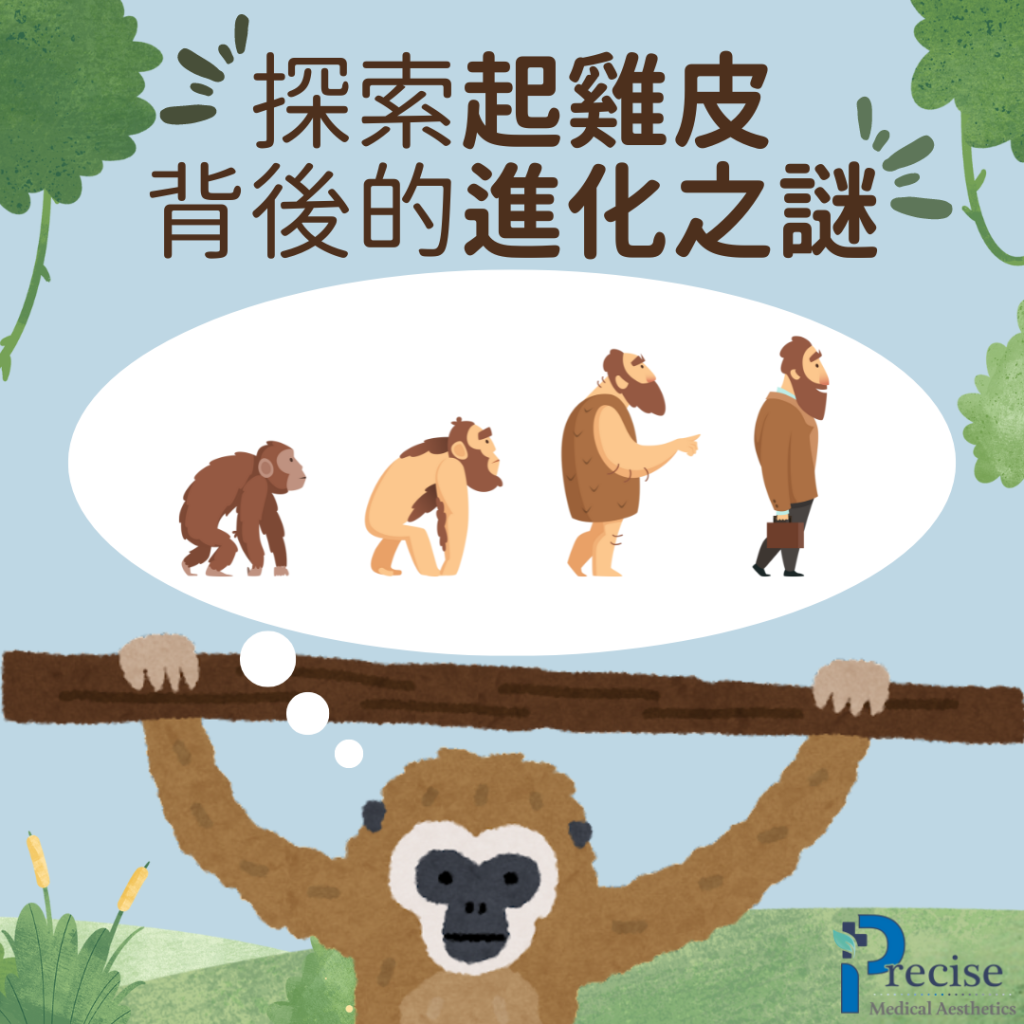 起雞皮 立毛肌 起雞皮原因