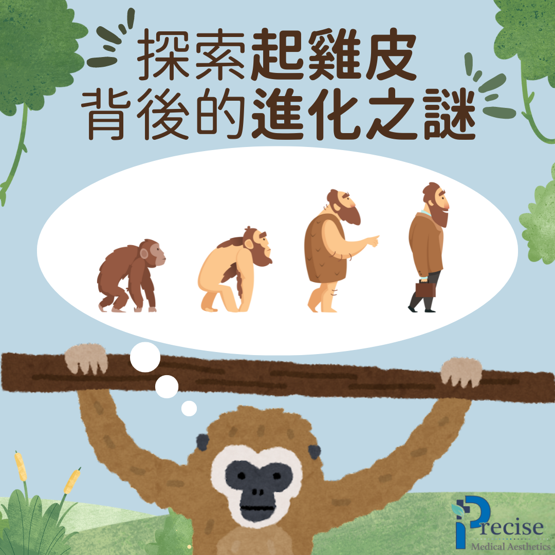 起雞皮 立毛肌 起雞皮原因