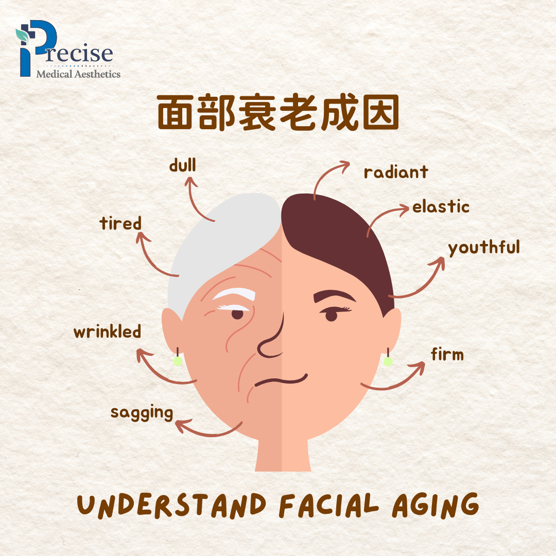 Understand facial aging