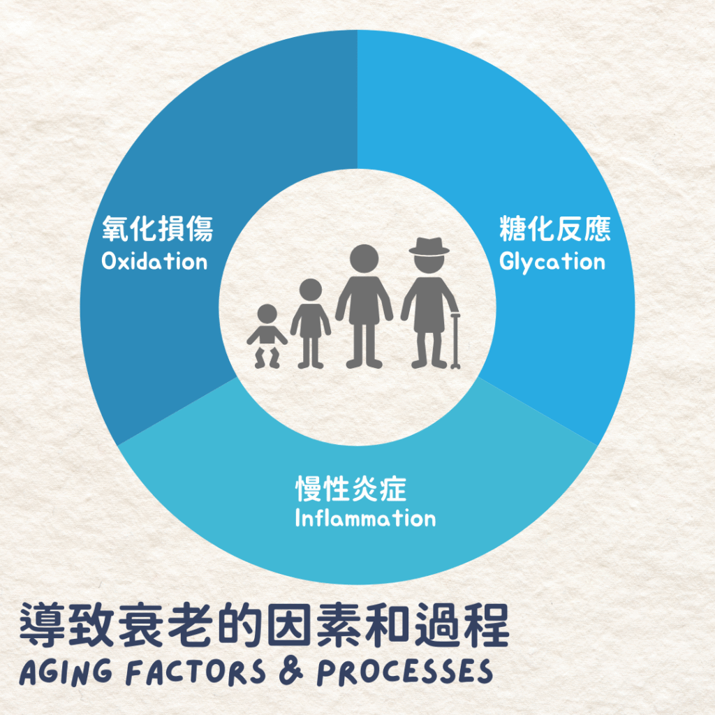 Aging factor process