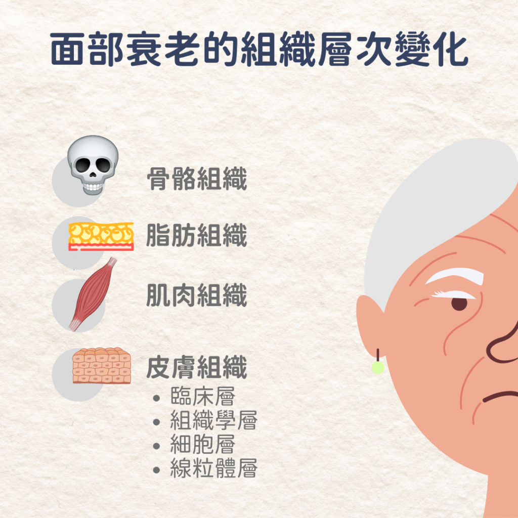 Facial aging changes